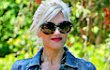 Putra Kedua Gwen Stefani Dan Gavin Rossdale Alami Kecelakaan