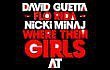 Video Musik: David Guetta Jadikan Flo Rida Dan Nicki Minaj Sebagai Cameo di 'Where Them Girls At'