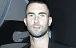 Adam Levine Ingin Punya Momongan