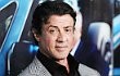 Warner Bros. Pictures Umumkan Tanggal Rilis Dua Proyek Filmnya
