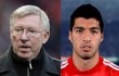 Alex Ferguson Tuntut Pemecatan Striker Liverpool Luis Suarez