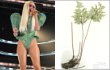 Keunikan Lady GaGa Diabadikan Jadi Nama Tanaman Pakis