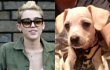 Miley Cyrus Akui Terobsesi dengan Anjing Barunya