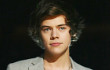 Beredar Foto Masa Kecil Harry Styles 1D Pakai Bra