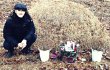 Siwon Super Junior Ziarah ke Makam Nenek
