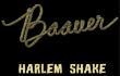 Lagu Fenomenal 'Harlem Shake' Debut di Puncak Chart Billboard Amerika