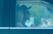 Justin Bieber Kencan dengan Wanita Blonde, Lupakan Selena Gomez?
