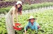 Cerianya Yoona SNSD Nikmati Liburan di Iklan Innisfree
