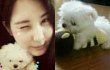 Seohyun SNSD Kenalkan Anjingnya Bernama Dubu