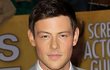 Cory Monteith 'Glee' Ditemukan Tewas di Kamar Hotel