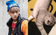 Tao EXO Bikin Heboh Pasang Foto Kucing Jia miss A