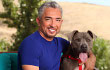 Cesar Millan Bakal Pilih 20 Anjing untuk Bertemu Langsung di Jakarta
