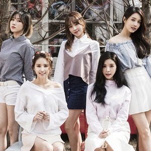 Fiestar Profile Photo