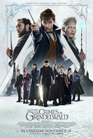 Fantastic Beasts: The Crimes of Grindelwald (2018) Profile Photo